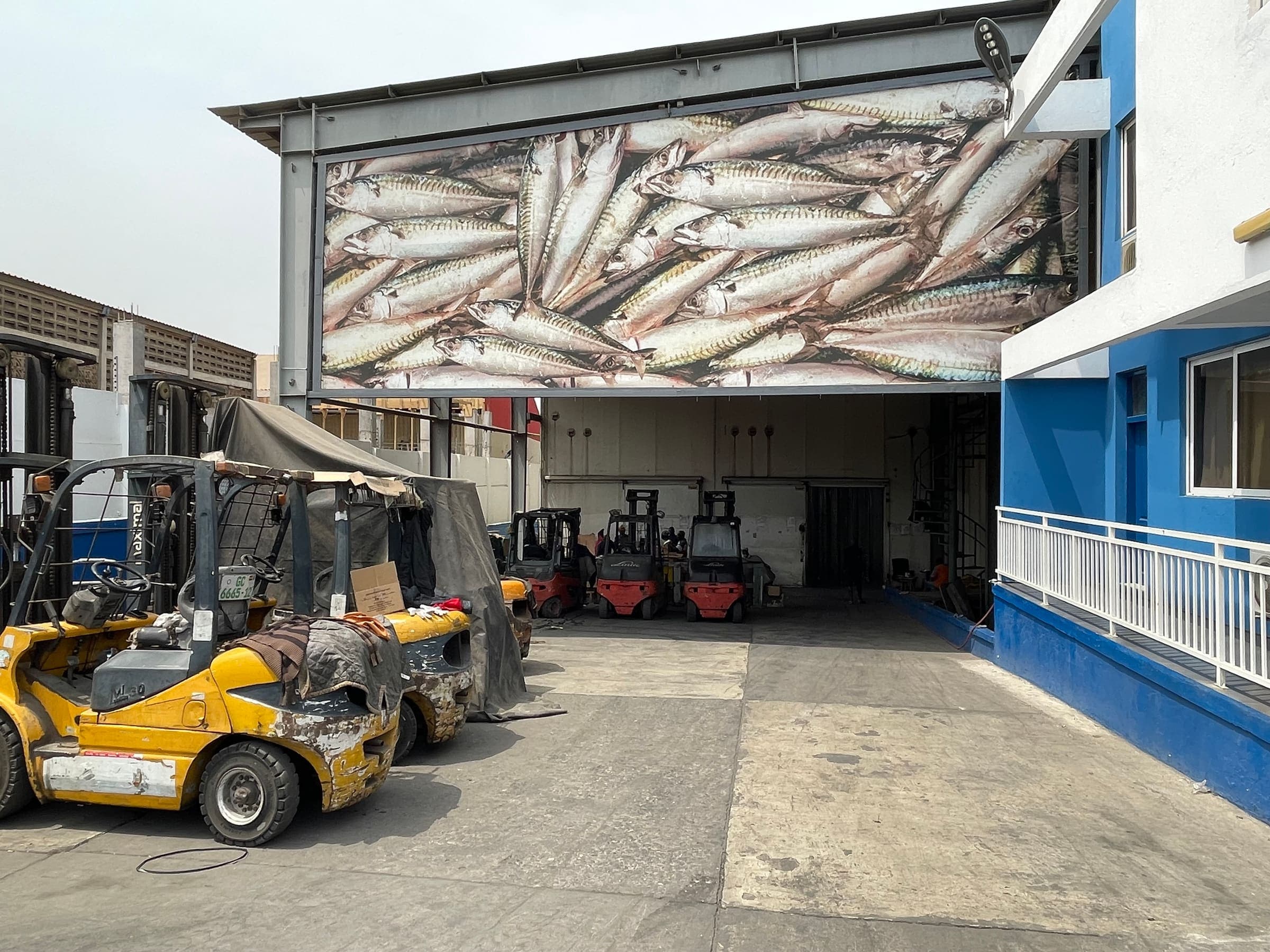 Forklifts loading at the cold storage bay