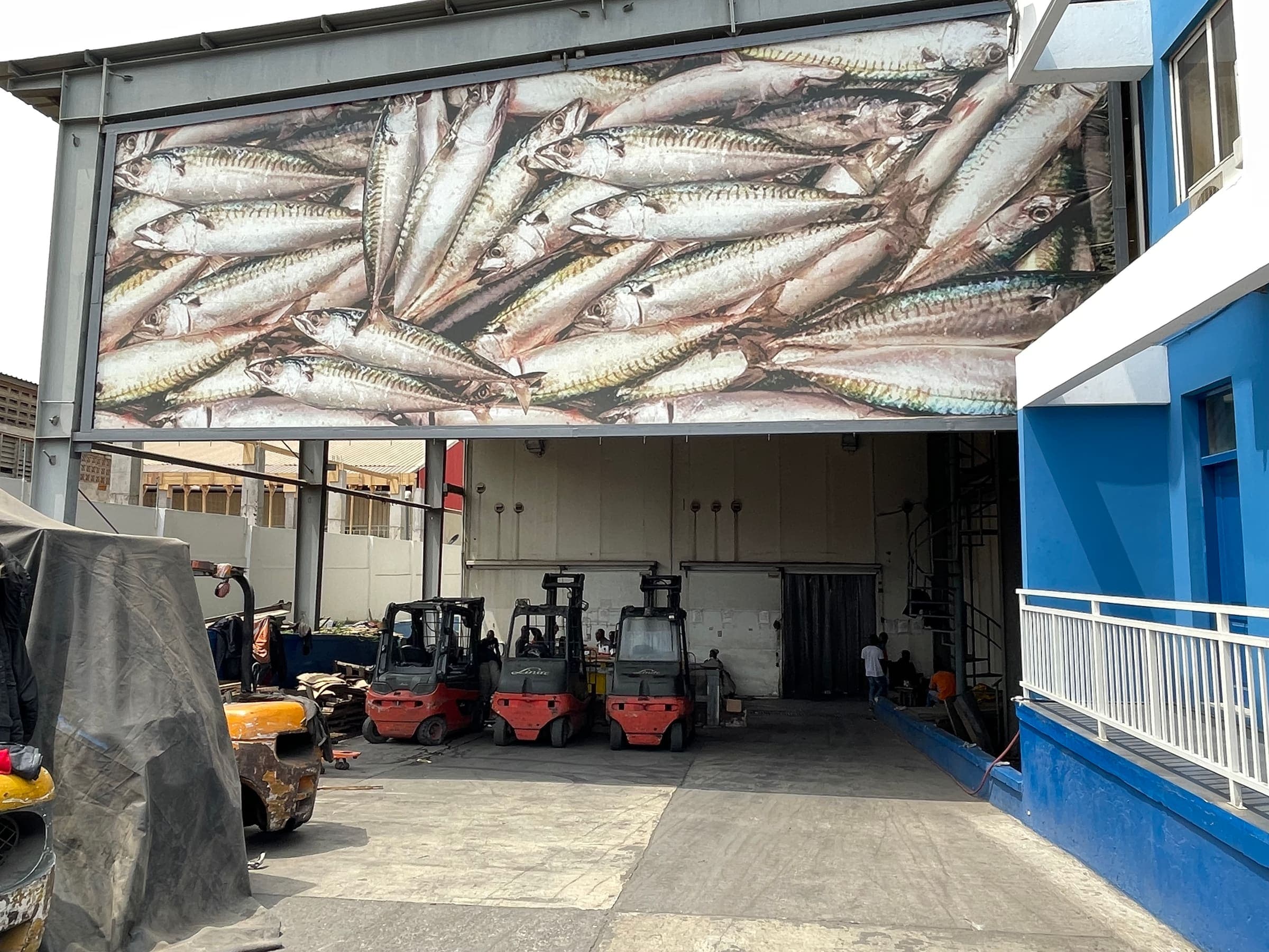 Forklift crew at the Ocean Fare cold storage loading bay